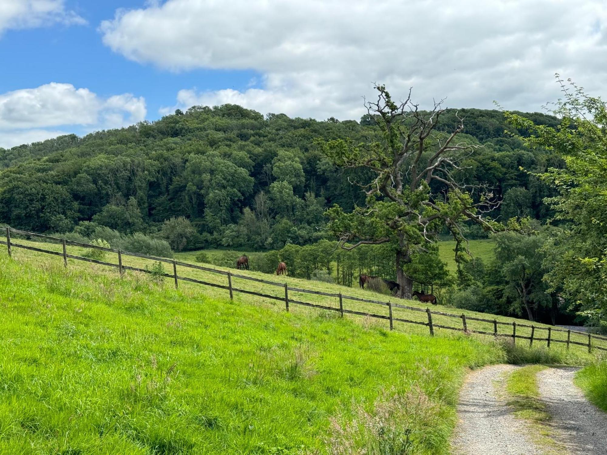 The Spring Slad Valley Cotswolds Painswick Buitenkant foto